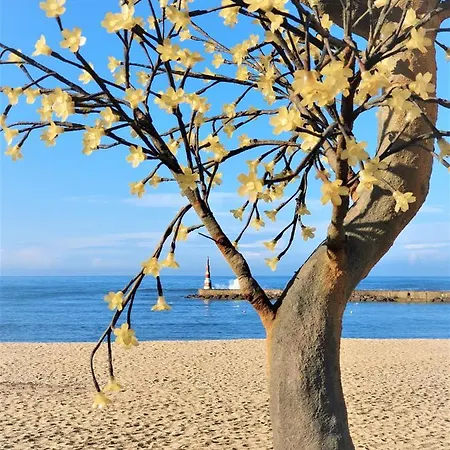 House In Beach- Oporto