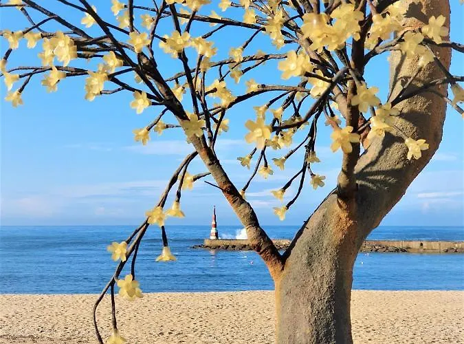 House In Beach- Oporto